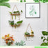 3 18 1/2/3 Leumoi Pcs Wall Hanging Plant Propagation Station with Wooden Stand, Glass Test Tubes, Tiered Planters