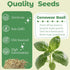 Herblink 8 Basil Seed Pods Kit Hydroponic - Refill Herb Pod for All Indoor Garden, Grow Pods with Seeds of Genovese