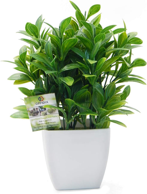 OFFIDIX Small Artificial Eucalyptus Plants with White Square Vase, Fake Plants for Home and Office Desktop Decor