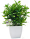 OFFIDIX Small Artificial Eucalyptus Plants with White Square Vase, Fake Plants for Home and Office Desktop Decor
