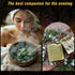 DreamdaMoonnly 32pcs Set Set Dried Herbs for Witchcraft, Witchcraft Supplies Kit for Wiccan Rituals, Witch Herbs