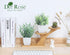Der Rose 2 Pack Small Fake Plants, Artificial Eucalyptus Greenery in Pots for Bedroom Living Room Decor