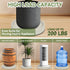 UoeRing 11 Inch $9.9 Plant Caddy with Hidden Wheels Heavy Duty Rolling Plant Stand, Indoor Outdoor Plant Saucer Tray