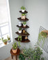 Set 2 7inch Corner Shelves, Floating Corner Shelf, of Solid Oak Wood Corner Wall Shelves, Round End with Wire Hole