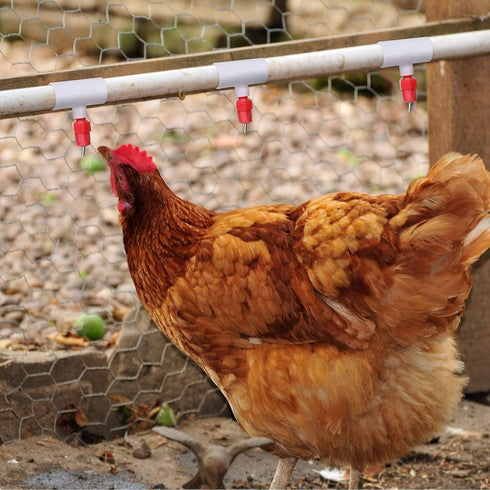 Outus 50 Pack Chicken Waterer PVC Tee Fittings, Fully Automatic Poultry Waterer PVC Fittings for Threaded Chicken Water