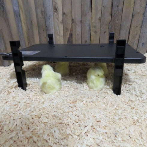 2-In-1 200-Watt 50W Farm Innovators Radiant Chicken Coop Panel Heater Converts to Brooder Heater for Chicks, Free