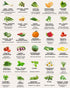 50 35,000 Tactiko Survival Vegetable, Herb & Fruit Seed Kit - U.S.A. Harvested Varieties - Over Non-GMO Heirloom Seeds