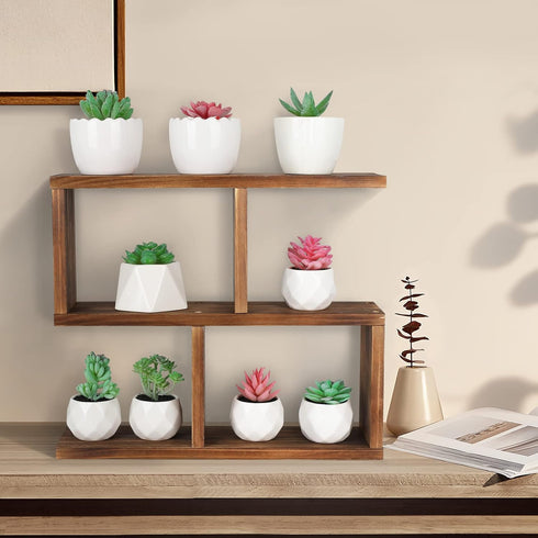 Window Sill Plant Stand: Small Wood Plant Shelf for Succulents, 3 Tier Tabletop Display Rack for Desktop Plants
