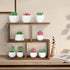 Window Sill Plant Stand: Small Wood Plant Shelf for Succulents, 3 Tier Tabletop Display Rack for Desktop Plants
