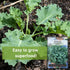 Packet (3) Sow Right Seeds - Dwarf Siberian Improved Kale Seed for Planting - Non-GMO Heirloom with Instructions