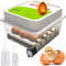 OBI-12 Egg Incubators for Hatching Eggs Incubator for 12 Eggs with Automatic