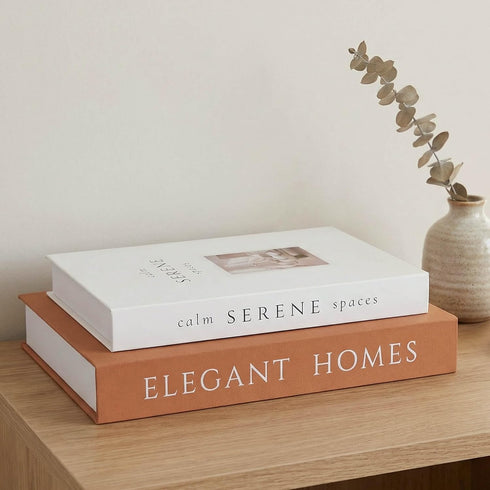 MAOBUYOU Decorative Books Set of 2, Faux Books Storage Box, Modern Home