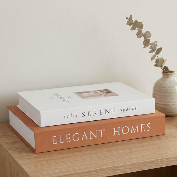 MAOBUYOU Decorative Books Set of 2, Faux Books Storage Box, Modern Home