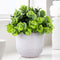 Artificial Lysimachia Plants in Ceramic Planter, Cute Fake Succulent Flowers for Home Office Table Desk Decor, Living