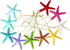 LJY 40 Pieces 2.3 Inches Resin Pencil Finger Starfish with Rope for Christmas Tree Ornaments