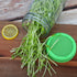 12 Pack Plastic Sprouting Lids for 86mm Wide Mouth Mason Jars, Sprouting Strainer Lid for Canning Jars