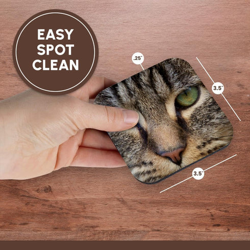 3dRose LLC Cat Face Close Up Coaster, Soft, Set of 4