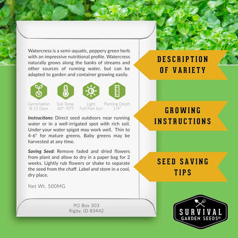 Packet (3 Packs) Watercress Seed for Planting - with Instructions to Grow Nasturtium officinale in Your Home Vegetable