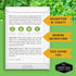 Packet (3 Packs) Watercress Seed for Planting - with Instructions to Grow Nasturtium officinale in Your Home Vegetable