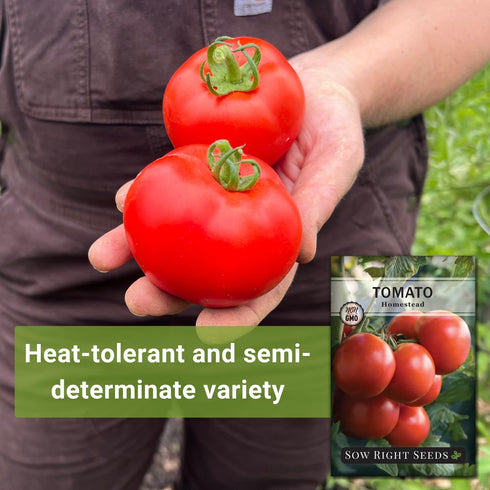 Packet Sized(1) Sow Right Seeds - Homestead Tomato Seeds for Planting - Non-GMO Heirloom with Instructions to Plant a