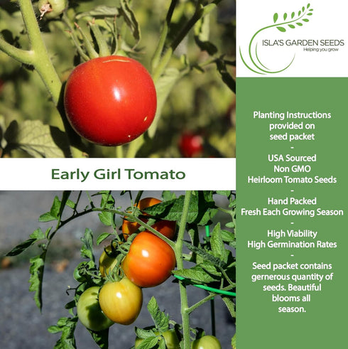 25+ Packet, 90% Early Girl Tomato Seeds for Planting, Seeds Per (Isla's Garden Seeds), Non GMO Seeds, Botanical Name: