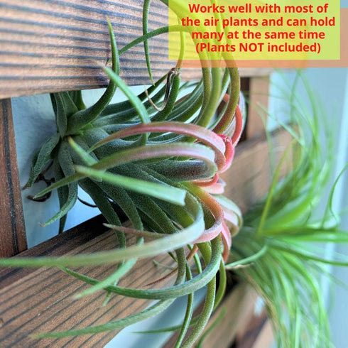 90cm (35.4") ShopLaLa Wall Planter - Wooden Hanging Planter for Indoor Plants, Plant Stand, Air Plant Succulent Holder