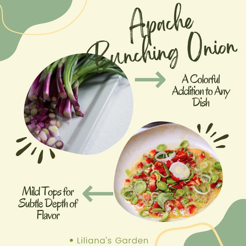 Liliana's Garden Apache Red Bunching Onion Seeds aka Red Scallion or Salad Onion | Heirloom Seeds by |