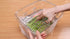 EVERIE 12-Quart Sous Vide Container with Built-in Rack, Collapsible Silicone Lid, Compatible with All Sous Vide Cookers