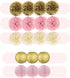 EpiqueOne 22-Piece Tissue Paper Pom Poms Party Set, Pink, Gold & Ivory for Birthdays, Showers & More