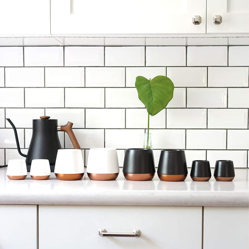 Fellow Joey Double Wall Ceramic Coffee Mug - Refined Matte White, Single 8 oz Cup