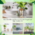 9 Packs Baderke Propagation Vases for Plants Plastic Plant Propagation Station with Hole Lid and Bamboo Stand Growing