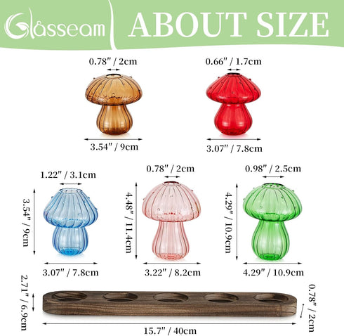 5 Glasseam Mushroom Plant Propagation Stations: Glass Terrarium Jars with Wood Stand - Unique Hydroponic Planters