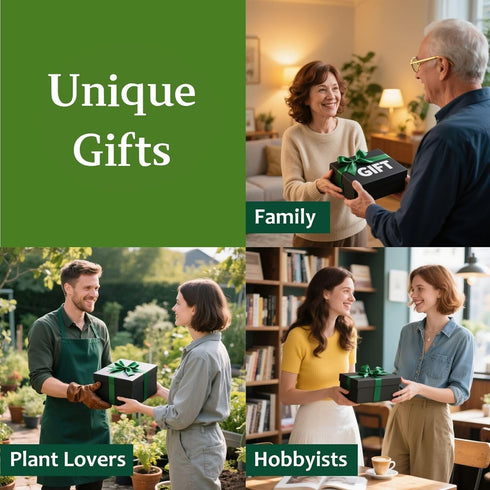 Indoor Herb Garden Start Kit - Unique Gifts for Women, Mothers Day Gifts, Easy House Plant- Birthday for Women,House