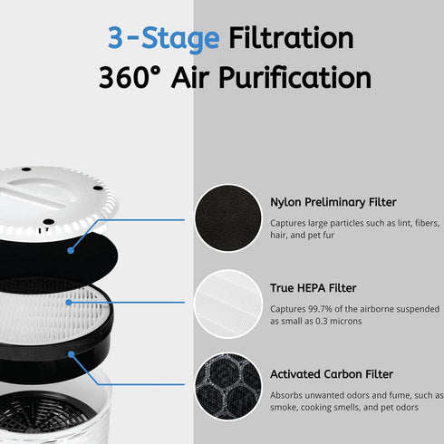 Nispira LV-H132 True HEPA Air Filter - Carbon Pre Filter Replacement - 2 Pack