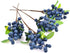 HUIANER 4pcs Artificial Blueberry with Stems, Lifelike Fruits for Valentine's Day DIY Bridal Bouquet Home Decoration