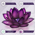 Capiz Shell Lotus Flower Tealight Candle Holder - Handmade Decorative Holder for Meditation, Yoga, and Relaxation