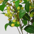 CHIAVE 8 Artificial Plants Simulation Flowers Faux Berries Lifelike Hawthorn Branches for vases- pcs -Light Green