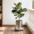 2Pack 13.98'' Plant Caddy with Wheels, Plant Stand Dolly for Heavy Planter,Wheeled Planter Saucer Tray,Rolling plant