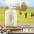 64 oz 2 Pack kitchentoolz Glass Milk Bottles with Pour Spouts and Tamper-Proof Caps Half Gallon Containers Made in USA
