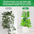 SYWHXY 12 Pack Stackable Mini Climbing Plant Trellis for Indoor Potted Plants, Flower Pots Support, Peas, Hoya, Pothos