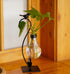 Plant Terrarium, Hydroponic Vases for Home Decoration, Modern Creative Bird Terrarium Stand, Ideal Gifts