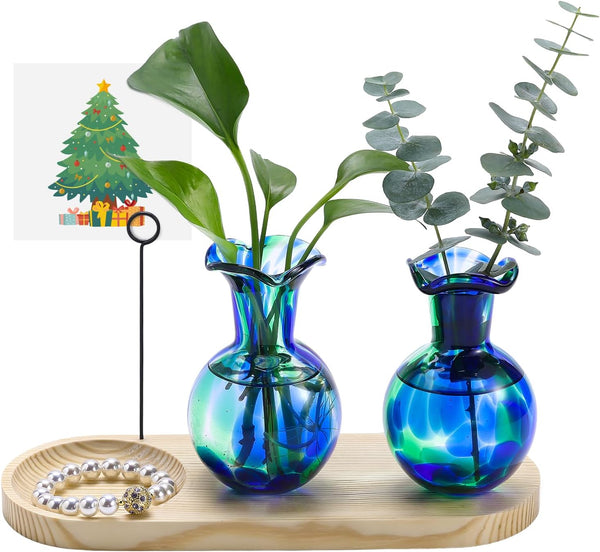 Pozfun Hand Blown Glass Plant Propagation Stations Plant Terrarium Wooden Stand for Hydroponic