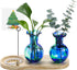 Pozfun Hand Blown Glass Plant Propagation Stations Plant Terrarium Wooden Stand for Hydroponic