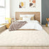 5.3x7.5 Amearea Premium Soft Fluffy Rug Modern Shag Carpet, Feet, Fuzzy Plush Rugs for Living Room Bedroom Kids Room