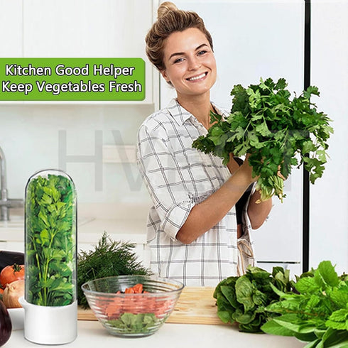 HVECT 2-3 Herb Keeper for Refrigerator, Herb Saver Cilantro Containers for Refrigerator, Fresh Herb Keeper