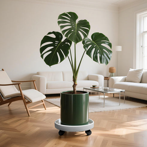 2Pack 13.98'' Plant Caddy with Wheels, Plant Stand Dolly for Heavy Planter,Wheeled Planter Saucer Tray,Rolling plant