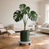 2Pack 13.98'' Plant Caddy with Wheels, Plant Stand Dolly for Heavy Planter,Wheeled Planter Saucer Tray,Rolling plant