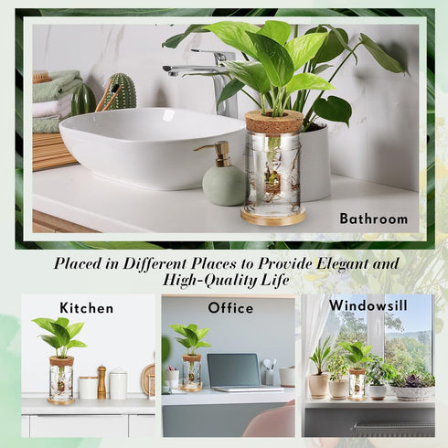 12 Packs Baderke Propagation Vases for Plants Plastic Plant Propagation with Hole Lid and Bamboo Stand Growing in Water