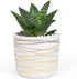 Willowy 6 Inch Ceramic Pot, Matte White with Gold Stripes, Drainage Plug Included