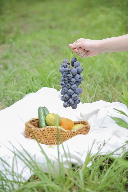 Handmade Rattan Bread Baskets, Round Wicker Fruit Serving Storage Bowls, Natural Decorative Kitchen Organizing
